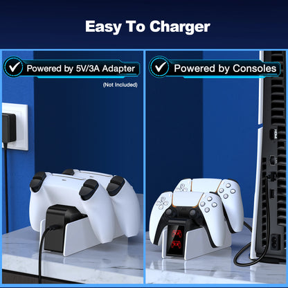 PS5 Controller Charger